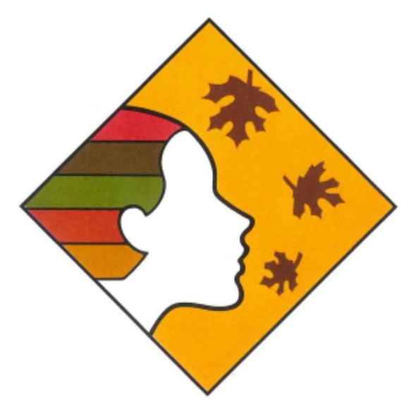 PROFESSIONAL COLOR ANALYSIS KIT FOR SALONS, STYLISTS, COLORISTS, OR ANYONE! - Picture 8 of 16